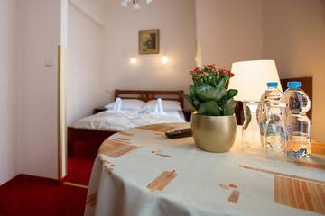 Фото номера Двухместный номер с 1 кроватью Отель Hotel Zamek Chałupki г. Chałupki 10